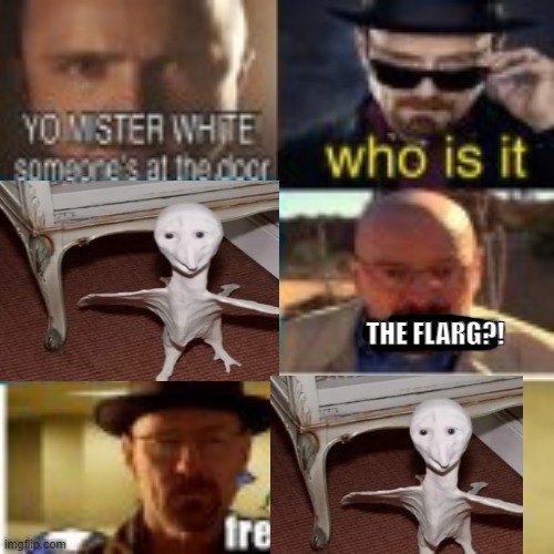yo mister white | THE FLARG?! | image tagged in yo mister white someones at the door shep | made w/ Imgflip meme maker