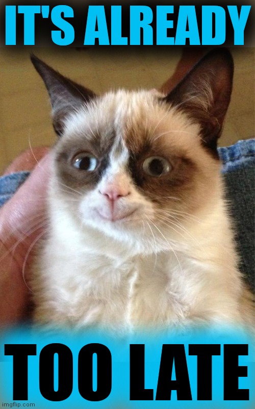 Grumpy Cat Happy Meme | IT'S ALREADY TOO LATE | image tagged in memes,grumpy cat happy,grumpy cat | made w/ Imgflip meme maker