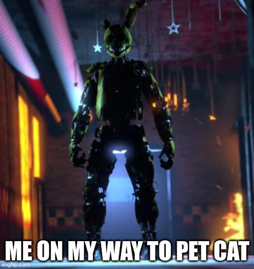 in the hallway | ME ON MY WAY TO PET CAT | image tagged in in the hallway | made w/ Imgflip meme maker