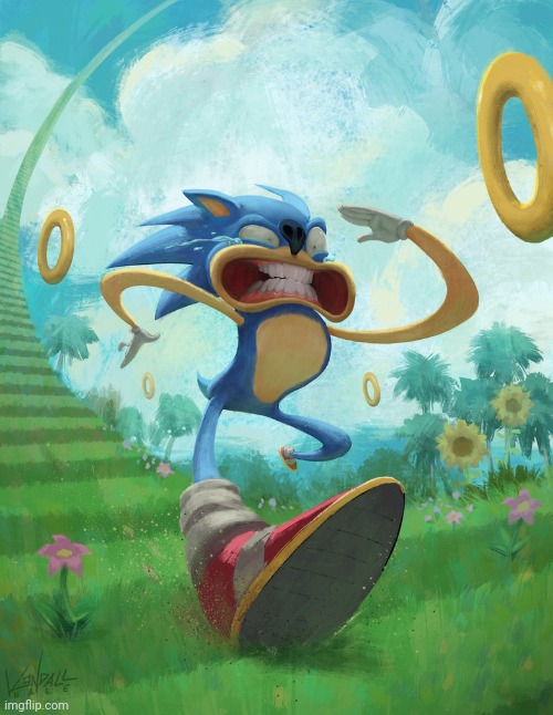 Run sonic | image tagged in run sonic | made w/ Imgflip meme maker