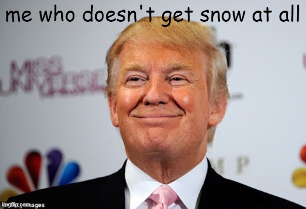 Donald trump approves | me who doesn't get snow at all | image tagged in donald trump approves | made w/ Imgflip meme maker