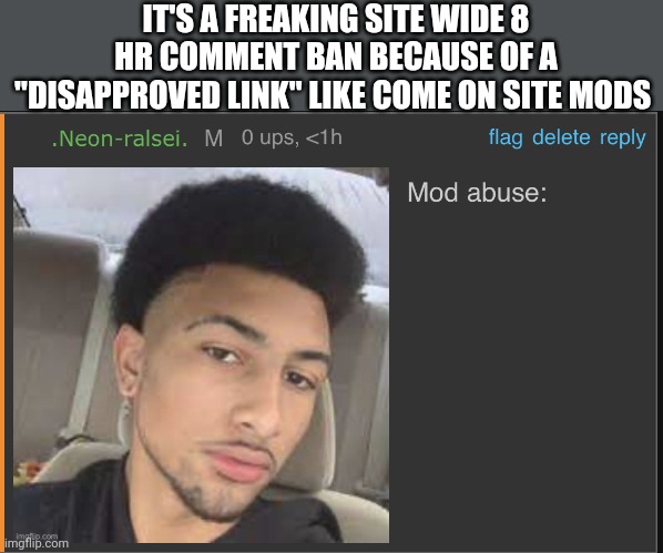 Mod abuse: | IT'S A FREAKING SITE WIDE 8 HR COMMENT BAN BECAUSE OF A "DISAPPROVED LINK" LIKE COME ON SITE MODS | image tagged in mod abuse | made w/ Imgflip meme maker