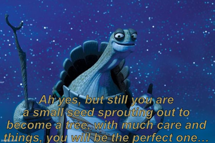 Master Oogway | Ah yes, but still you are a small seed sprouting out to become a tree, with much care and things, you will be the perfect one… | image tagged in master oogway | made w/ Imgflip meme maker