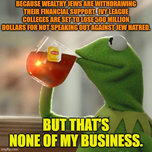 Should have spoke out against your leftist racist students when you had the chance. | BECAUSE WEALTHY JEWS ARE WITHDRAWING THEIR FINANCIAL SUPPORT,  IVY LEAGUE COLLEGES ARE SET TO LOSE 500 MILLION DOLLARS FOR NOT SPEAKING OUT AGAINST JEW HATRED. BUT THAT'S NONE OF MY BUSINESS. | image tagged in kermit the frog | made w/ Imgflip meme maker