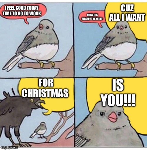 Retail workers around Christmas: (Also I don’t care that it’s actually November 30th) | CUZ ALL I WANT; I FEEL GOOD TODAY TIME TO GO TO WORK; WOW, IT’S ALREADY THE 25TH I-; FOR CHRISTMAS; IS YOU!!! | image tagged in annoyed bird | made w/ Imgflip meme maker