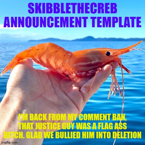 skibblethecreb announcement template | I'M BACK FROM MY COMMENT BAN, THAT JUSTICE GUY WAS A FLAG ASS BITCH. GLAD WE BULLIED HIM INTO DELETION | image tagged in skibblethecreb announcement template | made w/ Imgflip meme maker