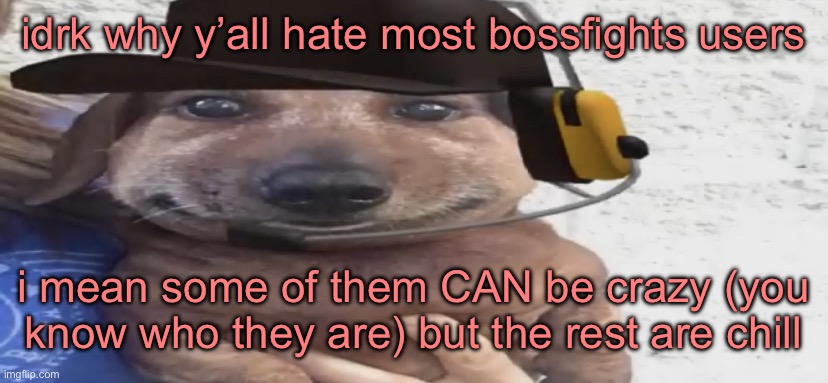 chucklenuts | idrk why y’all hate most bossfights users; i mean some of them CAN be crazy (you know who they are) but the rest are chill | image tagged in chucklenuts | made w/ Imgflip meme maker
