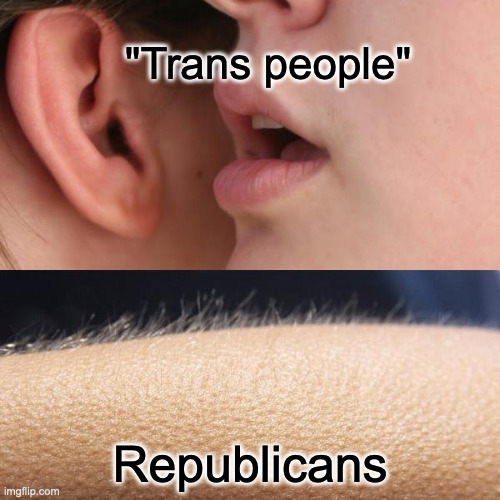 Can we show everyone respect please | "Trans people"; Republicans | image tagged in whisper and goosebumps,scumbag republicans | made w/ Imgflip meme maker