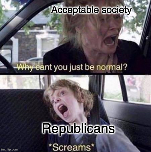 Be accepting please | Acceptable society; Republicans | image tagged in why can't you just be normal,memes,republicans | made w/ Imgflip meme maker