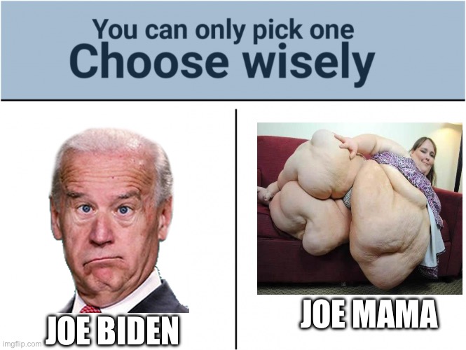 . | JOE BIDEN; JOE MAMA | image tagged in you can pick only one choose wisely | made w/ Imgflip meme maker