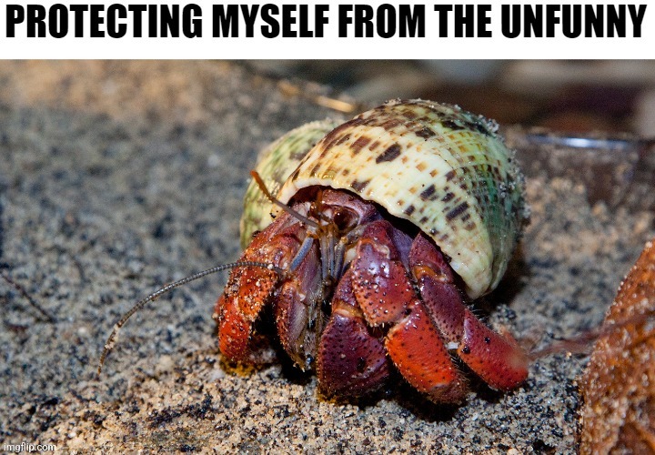 image tagged in hermit crab unfunny armor | made w/ Imgflip meme maker