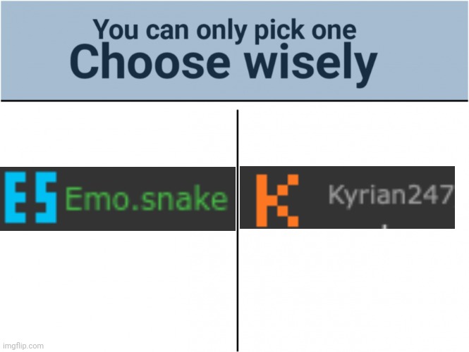 you can pick only one choose wisely | image tagged in you can pick only one choose wisely | made w/ Imgflip meme maker