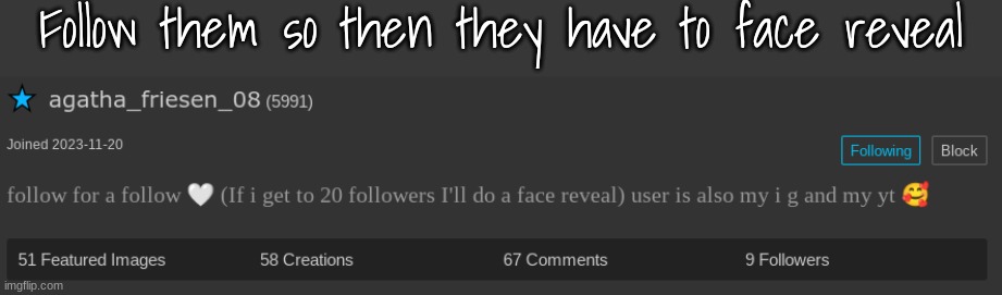 Follow them so then they have to face reveal | made w/ Imgflip meme maker