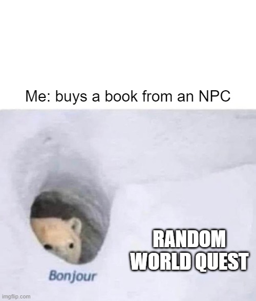 World Quests | Me: buys a book from an NPC; RANDOM WORLD QUEST | image tagged in bonjour | made w/ Imgflip meme maker