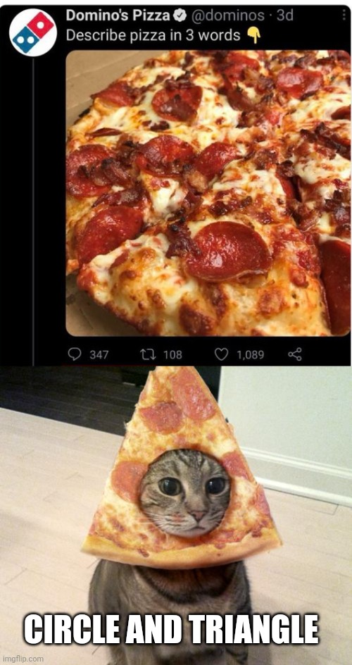 GOOD AND TASTY | CIRCLE AND TRIANGLE | image tagged in pizza cat,pizza,dominos,pizza time | made w/ Imgflip meme maker