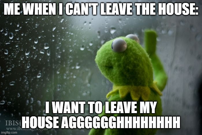 kermit window | ME WHEN I CAN'T LEAVE THE HOUSE:; I WANT TO LEAVE MY HOUSE AGGGGGGHHHHHHHH | image tagged in kermit window | made w/ Imgflip meme maker