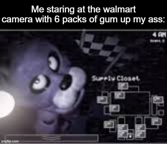 Me staring at the walmart camera with 6 packs of gum up my ass: | made w/ Imgflip meme maker