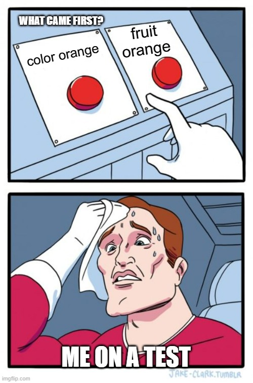 Two Buttons Meme | WHAT CAME FIRST? fruit orange; color orange; ME ON A TEST | image tagged in memes,two buttons,funny memes,test | made w/ Imgflip meme maker