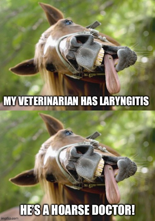 MY VETERINARIAN HAS LARYNGITIS; HE’S A HOARSE DOCTOR! | image tagged in horsessuck | made w/ Imgflip meme maker
