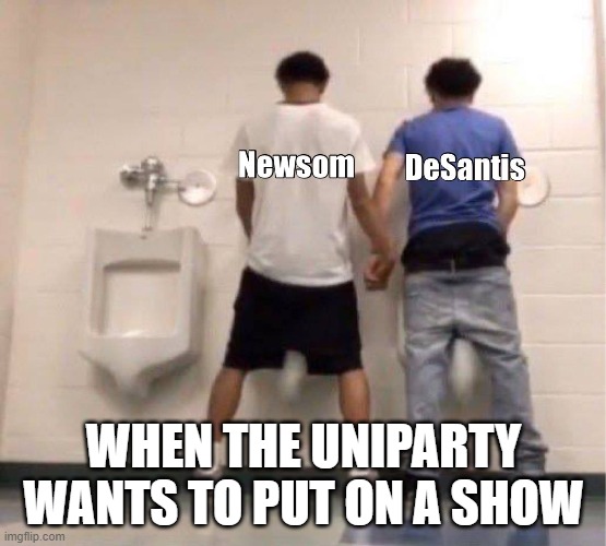 Uniparty distraction | WHEN THE UNIPARTY
WANTS TO PUT ON A SHOW | image tagged in democrats,republicans,rhino,gop,fjb,maga | made w/ Imgflip meme maker