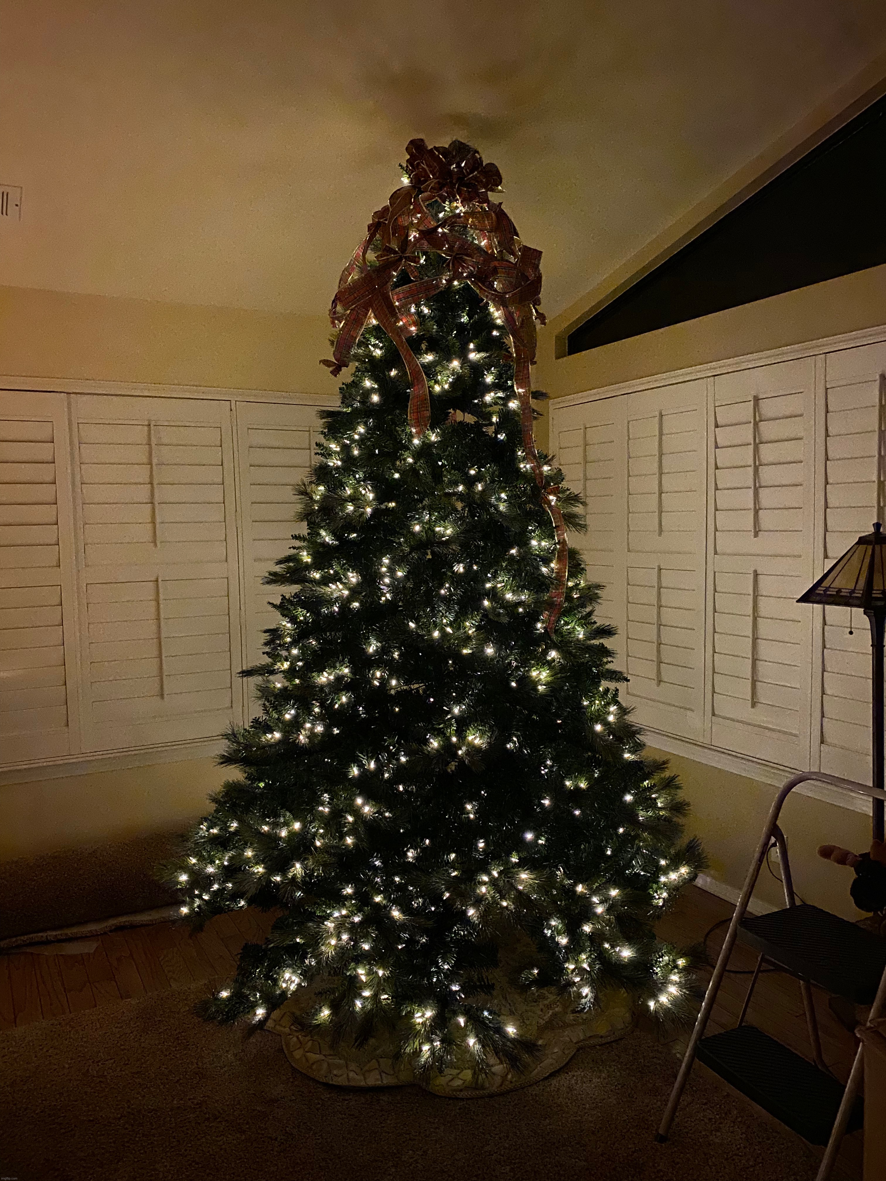 my Christmas tree | image tagged in picture,christmas,christmas tree,still have to decorate it | made w/ Imgflip meme maker