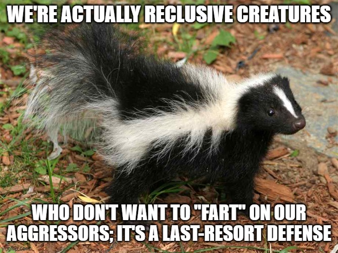Fart Squirrel | WE'RE ACTUALLY RECLUSIVE CREATURES WHO DON'T WANT TO "FART" ON OUR AGGRESSORS; IT'S A LAST-RESORT DEFENSE | image tagged in fart squirrel | made w/ Imgflip meme maker