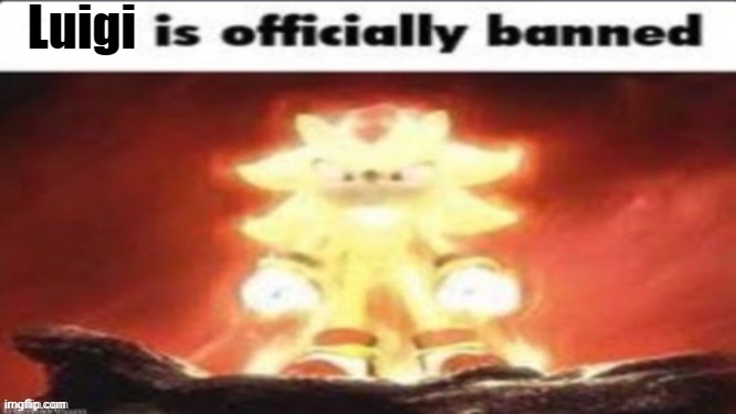 Sex is officially banned | Luigi | image tagged in sex is officially banned | made w/ Imgflip meme maker