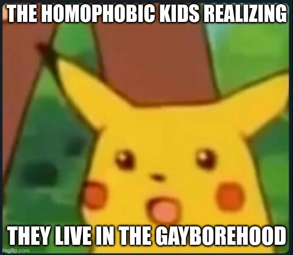 THE GAYBOREHOOD | THE HOMOPHOBIC KIDS REALIZING; THEY LIVE IN THE GAYBOREHOOD | image tagged in surprised pikachu | made w/ Imgflip meme maker
