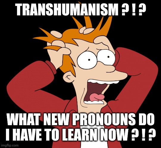 Futurama Fry Screaming | TRANSHUMANISM ? ! ? WHAT NEW PRONOUNS DO I HAVE TO LEARN NOW ? ! ? | image tagged in futurama fry screaming | made w/ Imgflip meme maker
