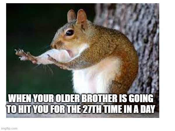 mommmm | WHEN YOUR OLDER BROTHER IS GOING TO HIT YOU FOR THE 27TH TIME IN A DAY | image tagged in funny | made w/ Imgflip meme maker