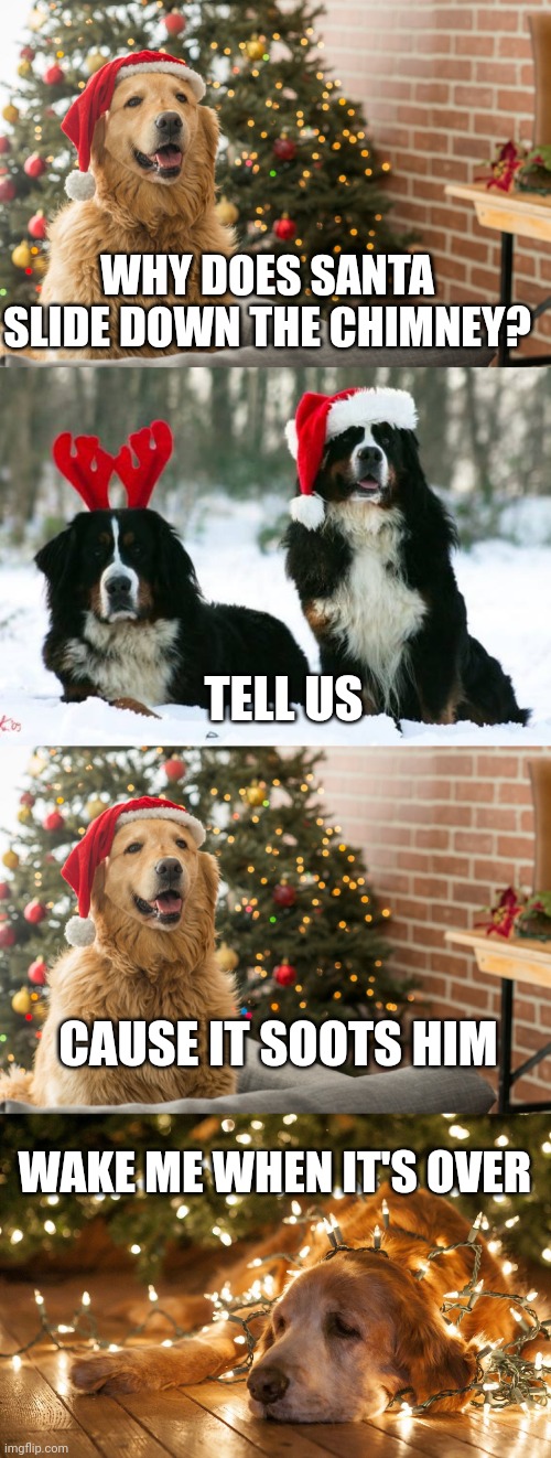 WHY DOES SANTA SLIDE DOWN THE CHIMNEY? TELL US; CAUSE IT SOOTS HIM; WAKE ME WHEN IT'S OVER | image tagged in christmas dog 1,christmas dogs,christmas dog 4 | made w/ Imgflip meme maker
