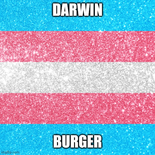 Trans rights | DARWIN BURGER | image tagged in trans rights | made w/ Imgflip meme maker