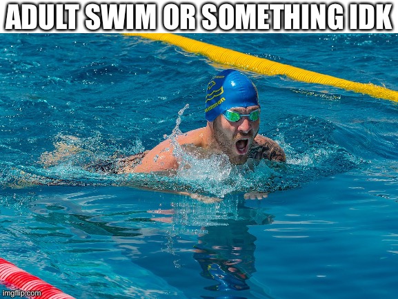 Adult swim | ADULT SWIM OR SOMETHING IDK | image tagged in adult swim | made w/ Imgflip meme maker