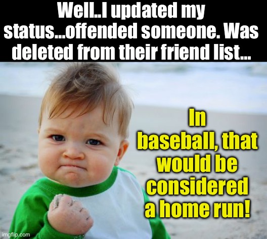 Thin skinned people | Well..I updated my status…offended someone. Was deleted from their friend list…; In baseball, that would be considered a home run! | image tagged in memes,success kid original | made w/ Imgflip meme maker