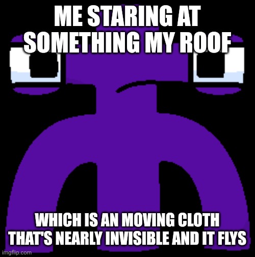 djerv staring | ME STARING AT SOMETHING MY ROOF; WHICH IS AN MOVING CLOTH THAT'S NEARLY INVISIBLE AND IT FLYS | image tagged in djerv,stare,dark humor | made w/ Imgflip meme maker