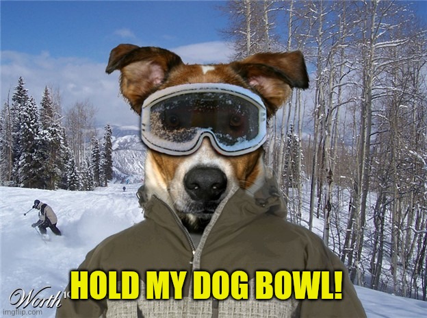 HOLD MY DOG BOWL! | made w/ Imgflip meme maker