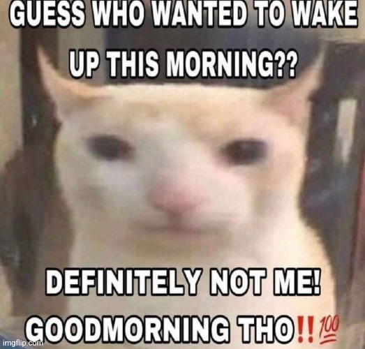 good morning tho | image tagged in good morning tho | made w/ Imgflip meme maker