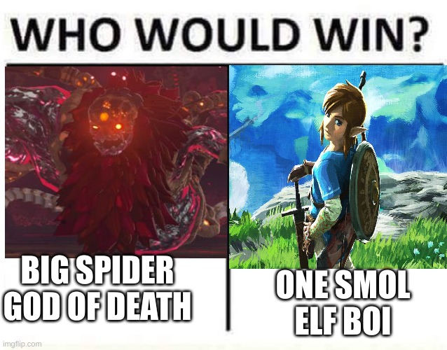 Elf boi wins! BOTW meme number #4 I think? | ONE SMOL ELF BOI; BIG SPIDER GOD OF DEATH | image tagged in who would win | made w/ Imgflip meme maker