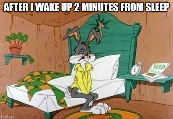 Bugs Bunny Sleepy | AFTER I WAKE UP 2 MINUTES FROM SLEEP | image tagged in bugs bunny sleepy | made w/ Imgflip meme maker