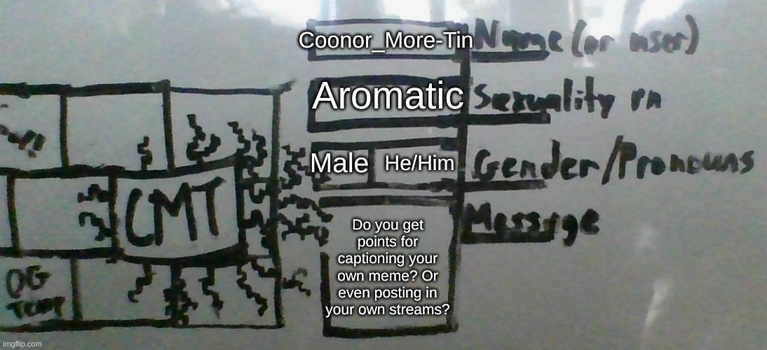 I think that I could post like that, but I'm not sure... | Coonor_More-Tin; Aromatic; Male; He/Him; Do you get points for captioning your own meme? Or even posting in your own streams? | image tagged in cmt's cool template,hmmmmmmm,fresh memes,think about it,meh | made w/ Imgflip meme maker
