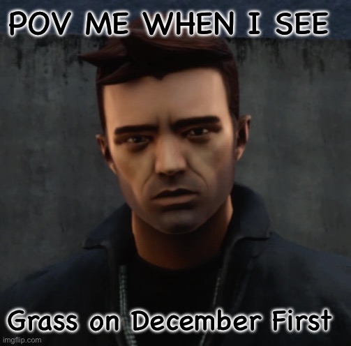 POV ME WHEN I SEE; Grass on December First | image tagged in memes | made w/ Imgflip meme maker