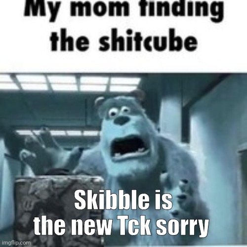 Had to say it | Skibble is the new Tck sorry | image tagged in my mom finding the shitcube | made w/ Imgflip meme maker