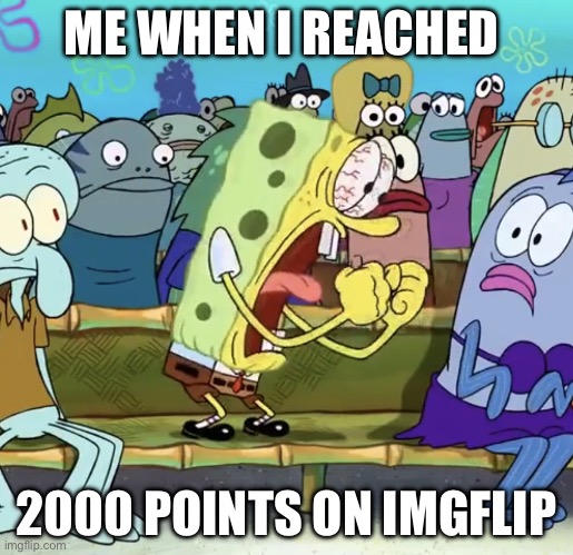 Spongebob Yelling | ME WHEN I REACHED; 2000 POINTS ON IMGFLIP | image tagged in spongebob yelling | made w/ Imgflip meme maker