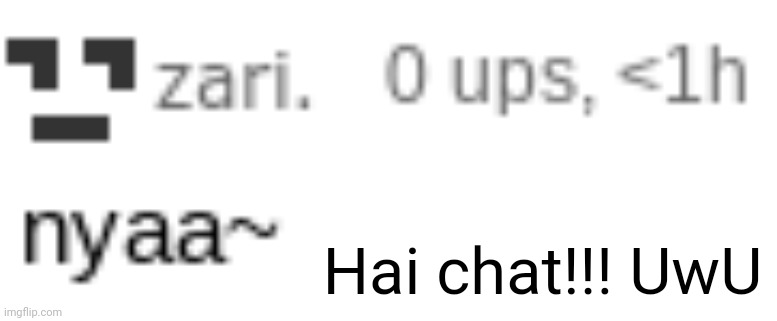 zari nyaa | Hai chat!!! UwU | image tagged in zari nyaa | made w/ Imgflip meme maker