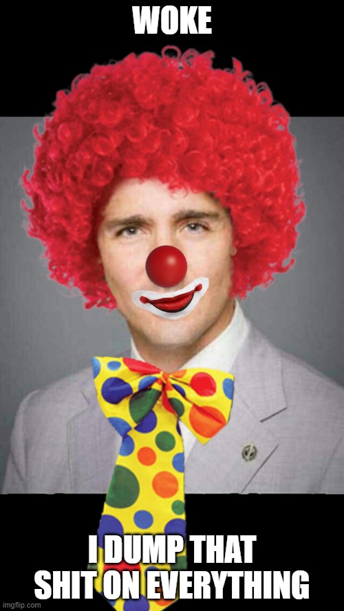 Justin Trudeau  | WOKE; I DUMP THAT SHIT ON EVERYTHING | image tagged in justin trudeau | made w/ Imgflip meme maker