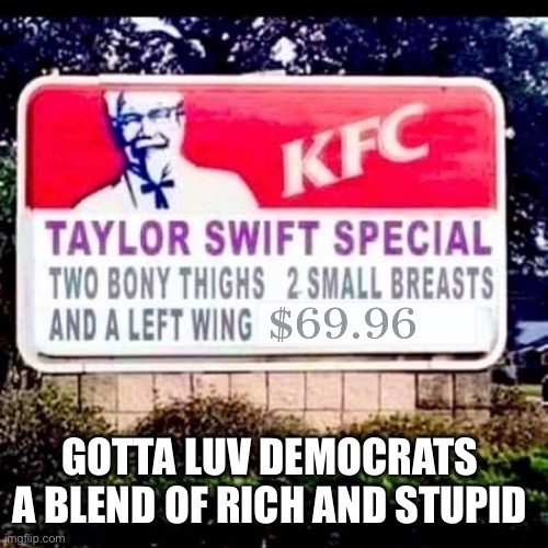 Taylor Swift(y) | GOTTA LUV DEMOCRATS 
A BLEND OF RICH AND STUPID | image tagged in taylor sehudr,memes,funny | made w/ Imgflip meme maker