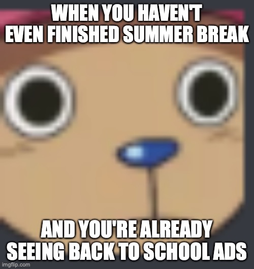 tony | WHEN YOU HAVEN'T EVEN FINISHED SUMMER BREAK; AND YOU'RE ALREADY SEEING BACK TO SCHOOL ADS | image tagged in tony | made w/ Imgflip meme maker