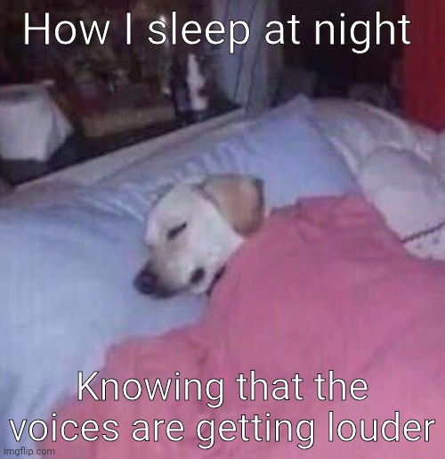 How I sleep at night | How I sleep at night; Knowing that the voices are getting louder | made w/ Imgflip meme maker