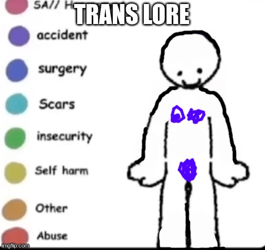 Make your own | TRANS LORE | image tagged in make your own | made w/ Imgflip meme maker