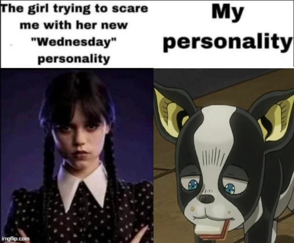 iggy :D | image tagged in the girl trying to scare me with her new wednesday personality | made w/ Imgflip meme maker